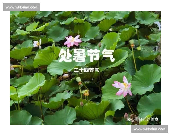 处暑节气来临,夏秋交替带来气候变化与农事安排的深刻影响